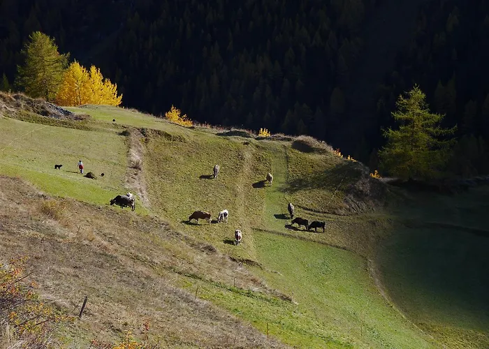 Anakolodge * Evolene