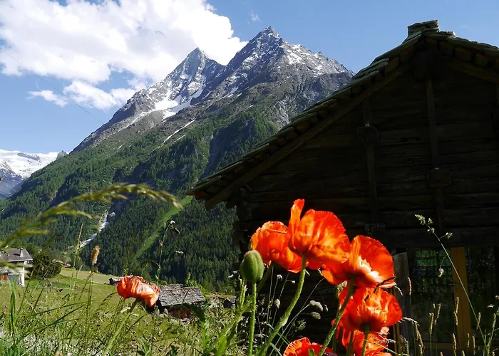 Les Mayens De La Forclaz Chalet *