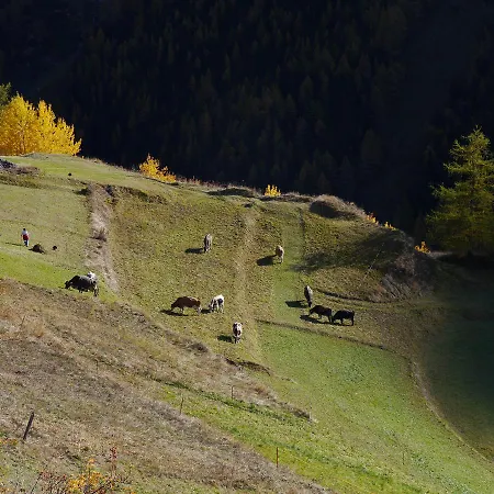Anakolodge * Evolène